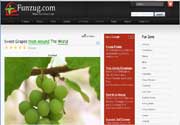 Funzug.com - A Place Where Fun Never Ends!